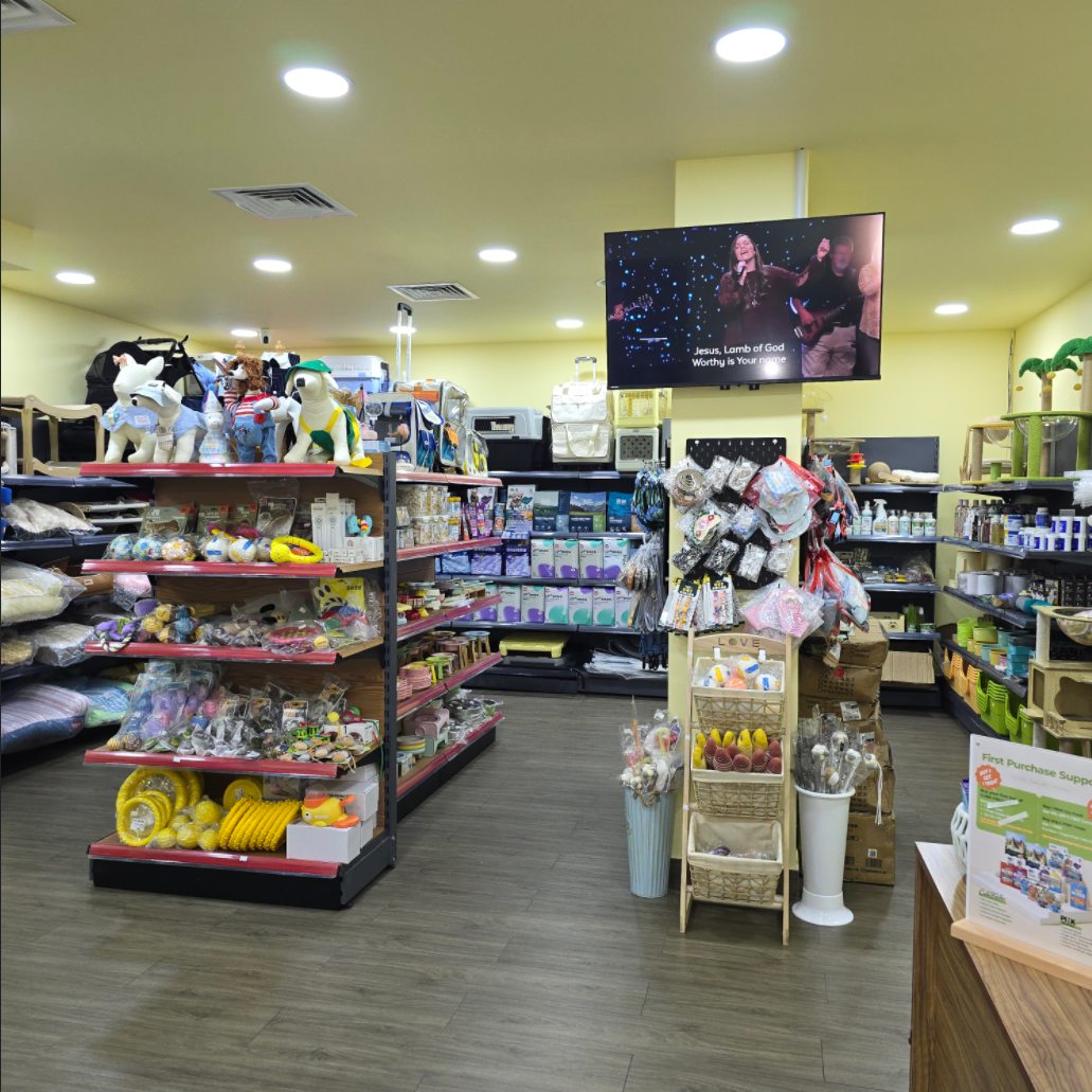 Pet shop interior with toys, carriers and accessories